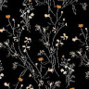 Meet your Posher, Kylee